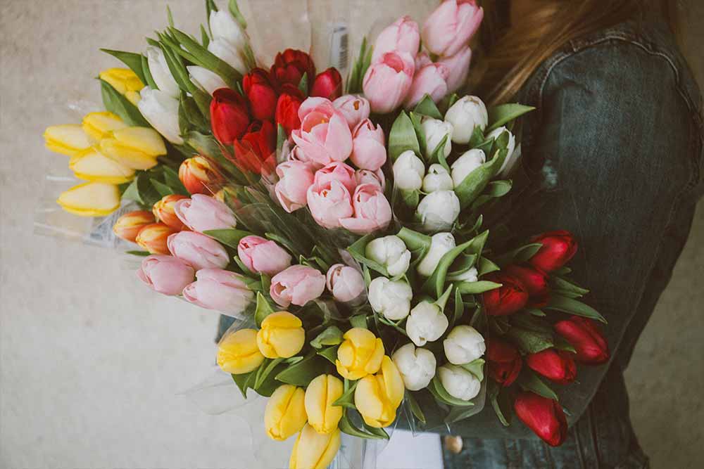 different colored tulips in a bunch